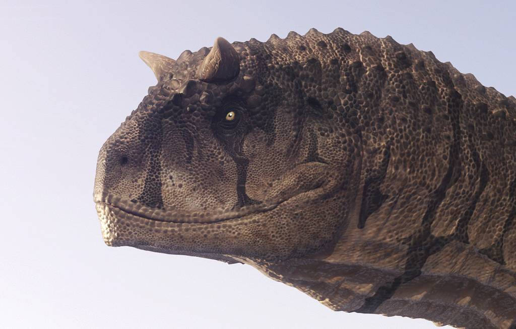 Carnotaurus-dinosaurus-detail-hlavy